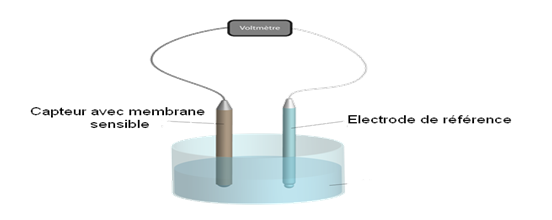 capteur membrane